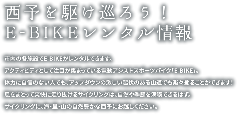 E-BIKEレンタル