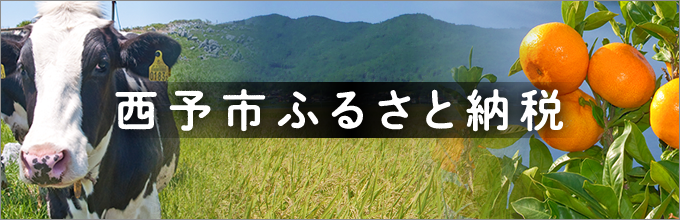 西予市ふるさと納税